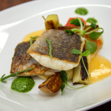 Gegrillter Fisch mit Gemüse und Kräutersauce auf einem weißen Teller.