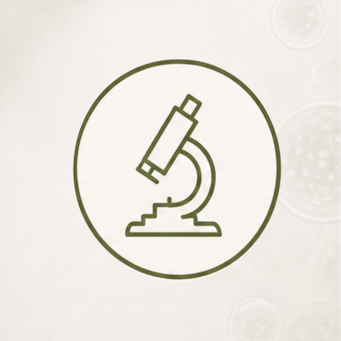 Vitalanalyse Mikroskop in einfachem, grünem Design auf hellem Hintergrund.
