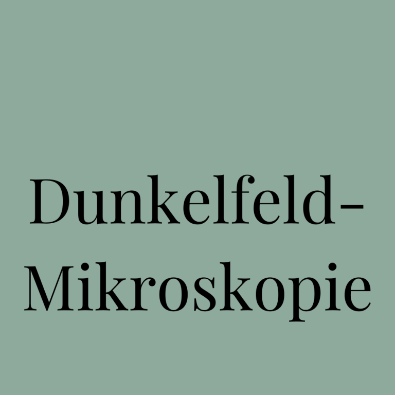 Zur Dunkelfeldmikroskopie von Klar gesund | Anna Gassner - Gesundheit verstehen- Kachel